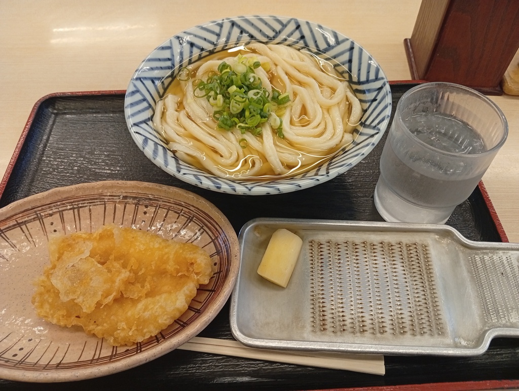 高松でうどんととり天