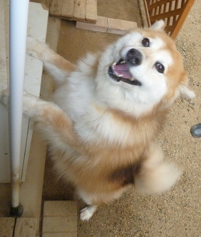 まるみ　7歳誕生日会　2　20200308
