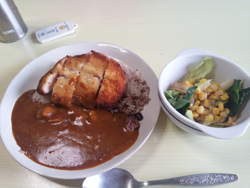 カツカレー　2　20210217