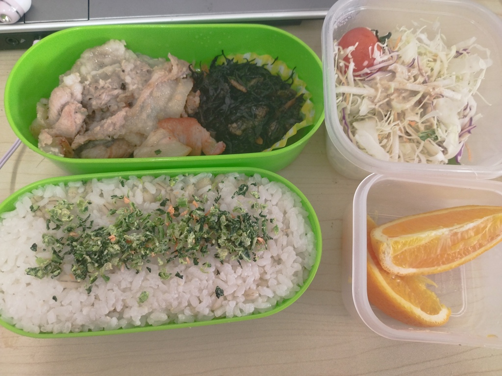 塩豚弁当