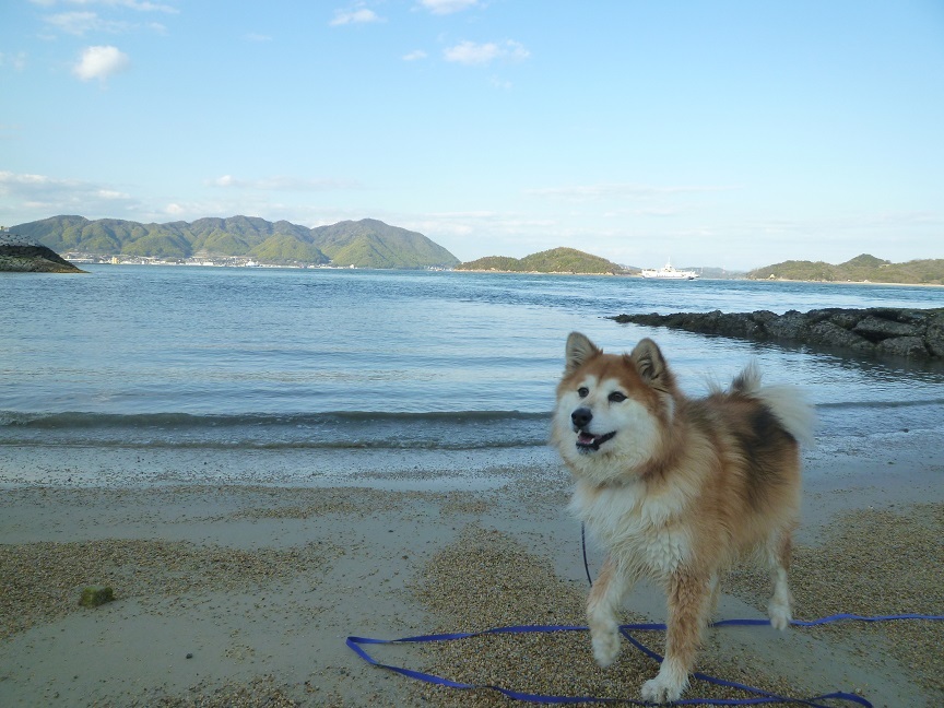 まるみ　海　20200410