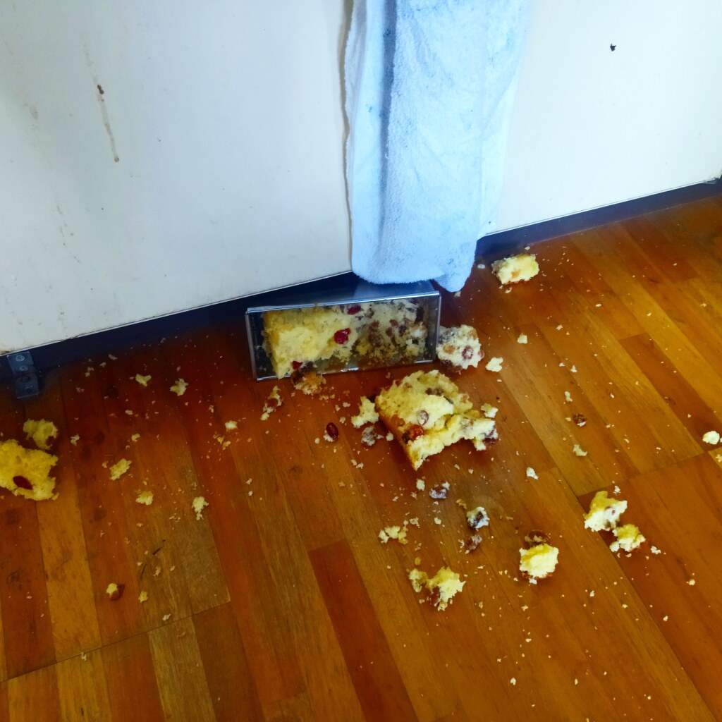 IMG_20210406_161751_475