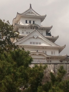 IMG_20210306_115042_484