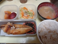 ほっけ弁当