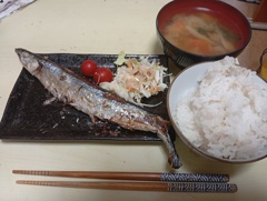 さんま定食