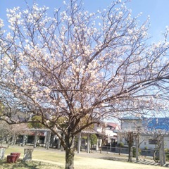 IMG_20210303_160659_018