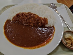 小谷SAでカレー