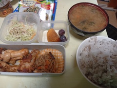 タンドリーチキン弁当 タンドリーチキン弁当