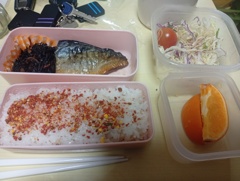 サバ弁当