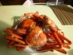 松葉ガニ　20201212