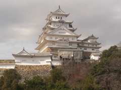 IMG_20210306_114852_296