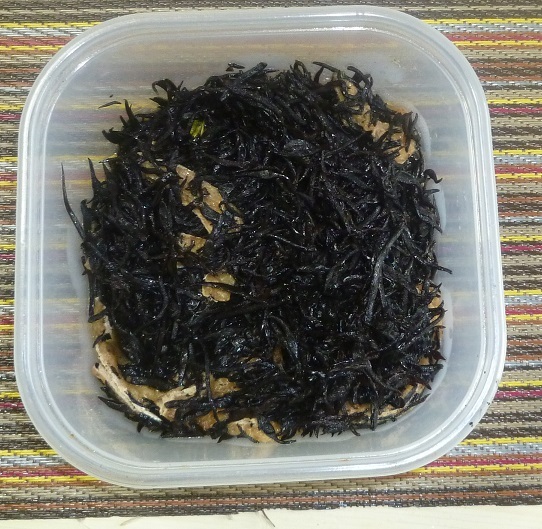 ひじきの煮物　20190703