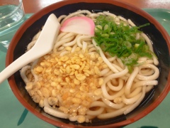 かけうどん