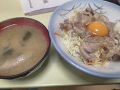 ネギ塩丼