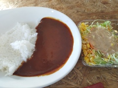 カレーとサラダ