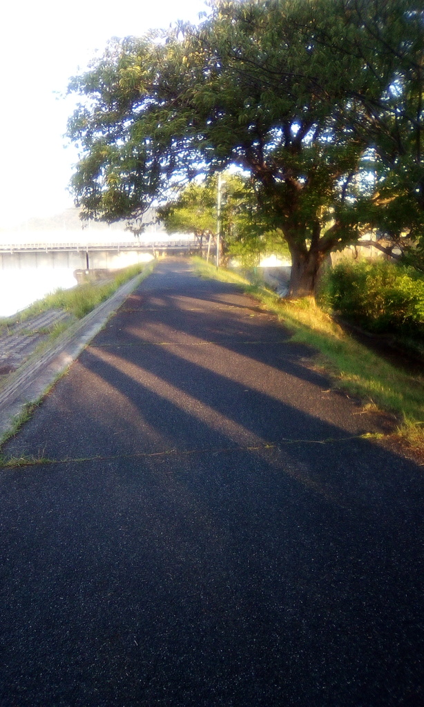 ウォーキング　川竿い　1　20190609
