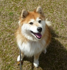 まるみ　20190316