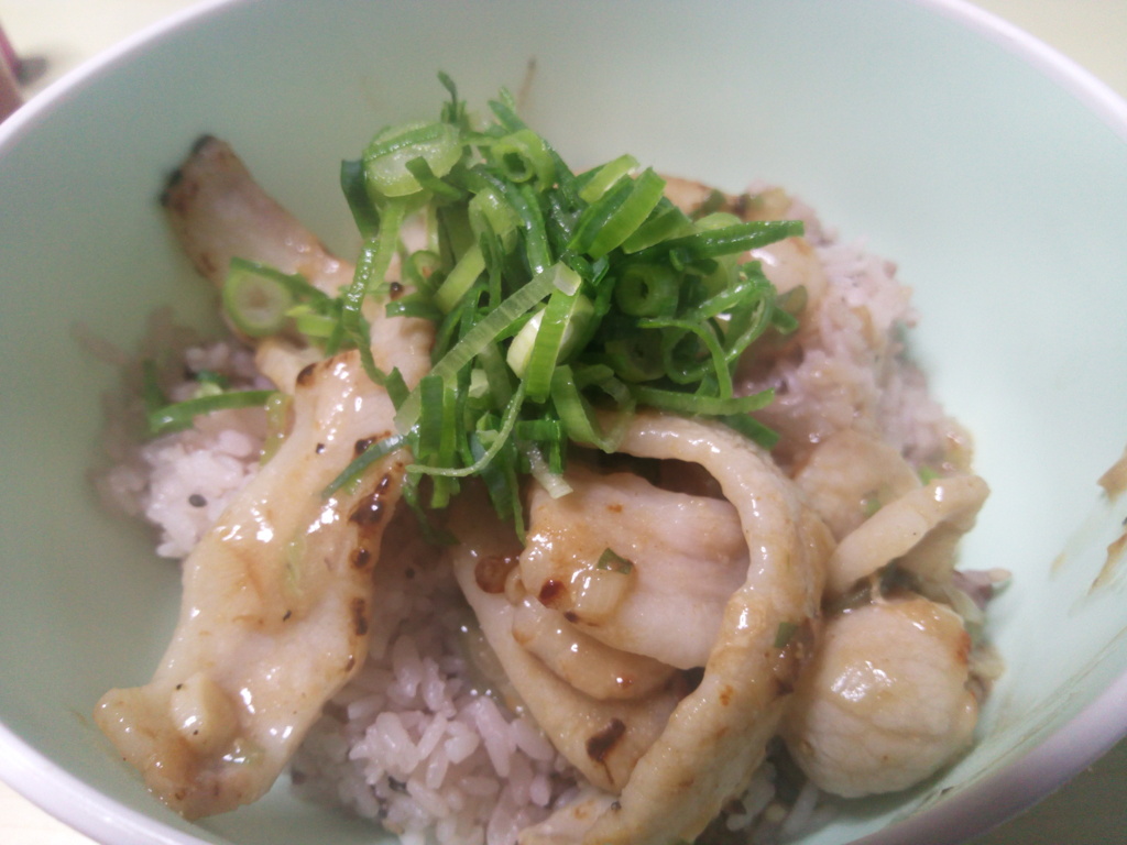 とんとろ丼　20210316