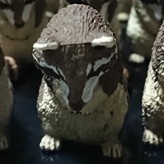 本人(代役)