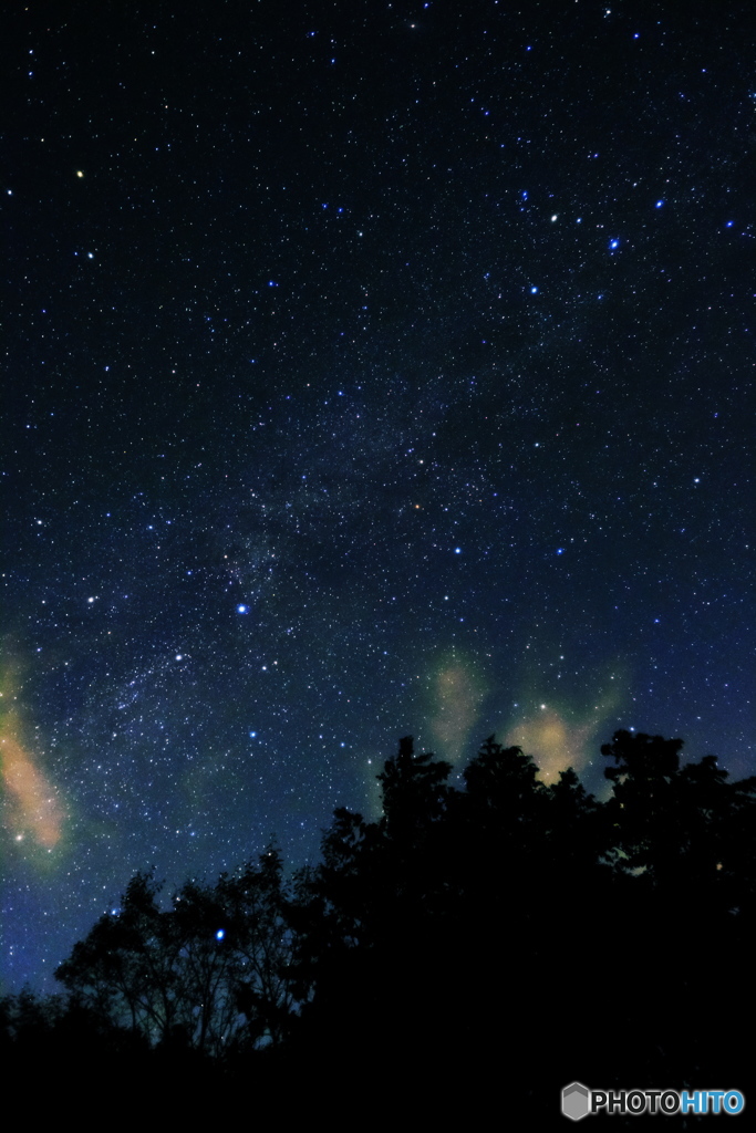 北の星々