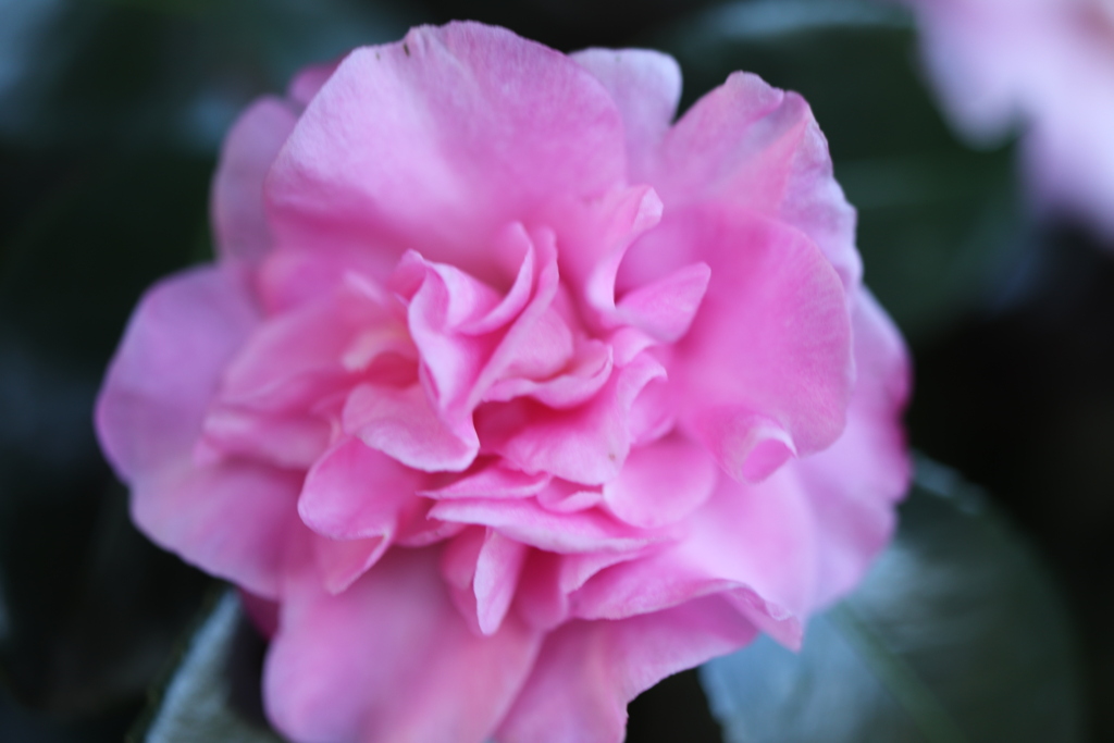 もう少し明るく撮るべきでした