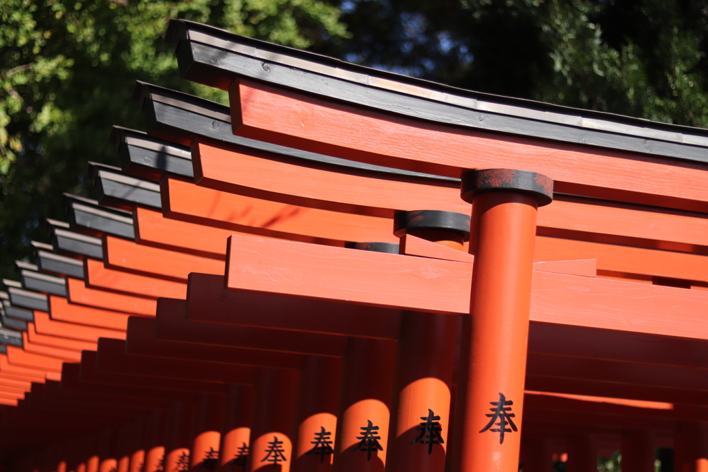 鳥居の渋滞