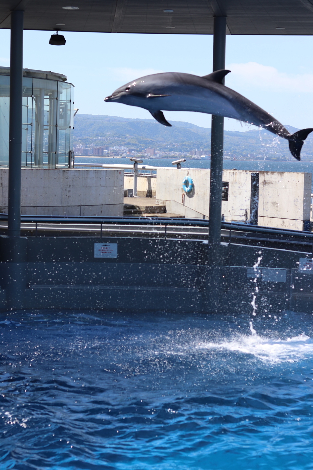 トレーニング中でした