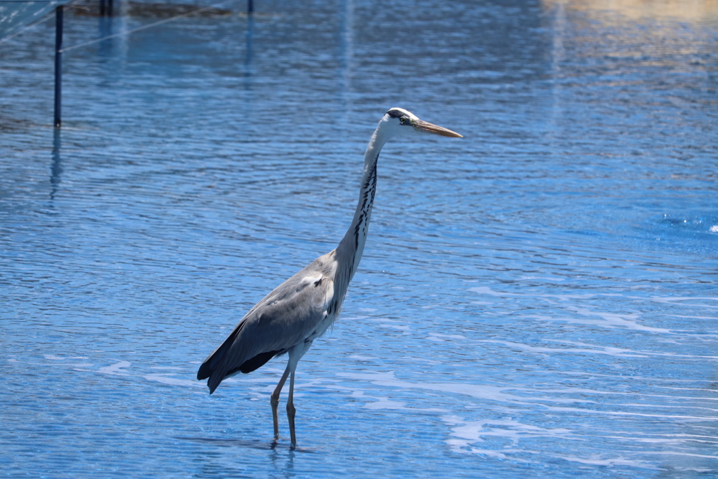 たまたま近くに