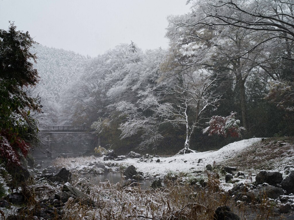 PENTAX 645D初撮り7