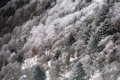 西穂高山荘周辺01
