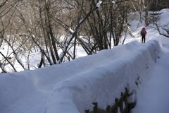 厳寒の上高地08