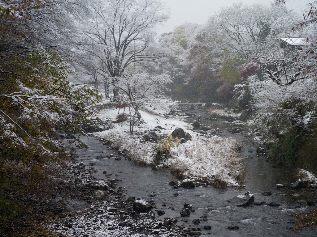 PENTAX 645D初撮り2