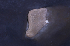 御岳山ロックガーデンの氷の世界２