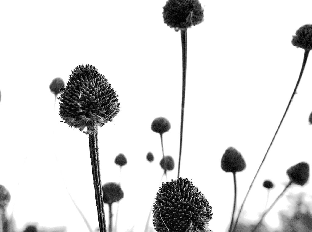 サヨナラGRIV　３