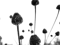 サヨナラGRIV　３