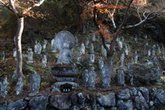 奥秩父の寺 高谷山金昌寺05