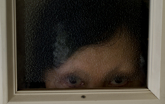 猫あるいは猫のような存在２