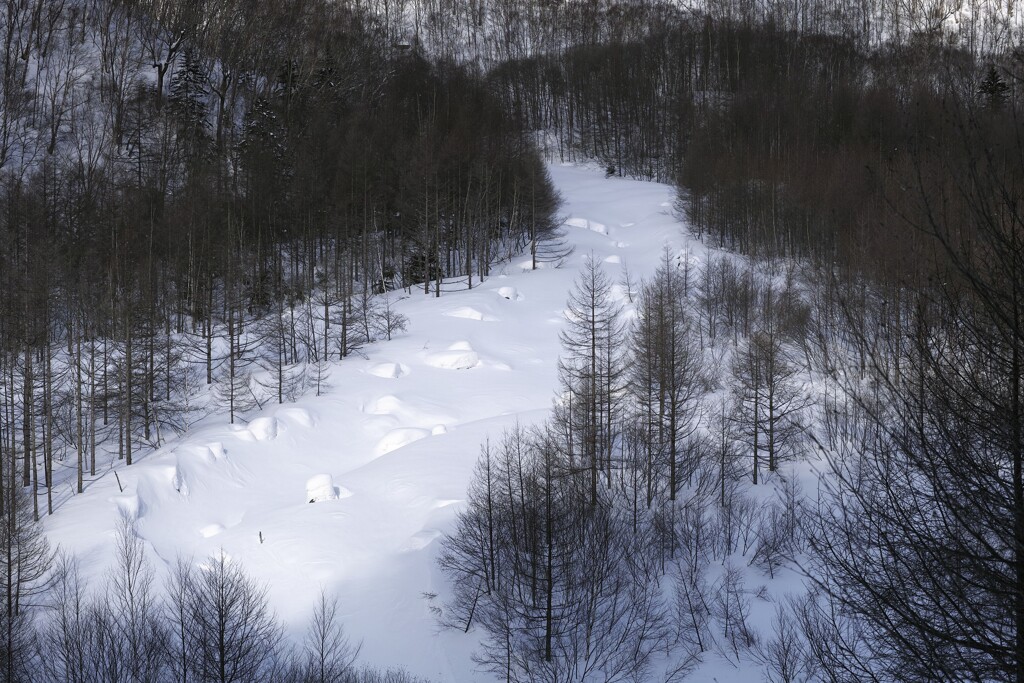 厳寒の上高地07