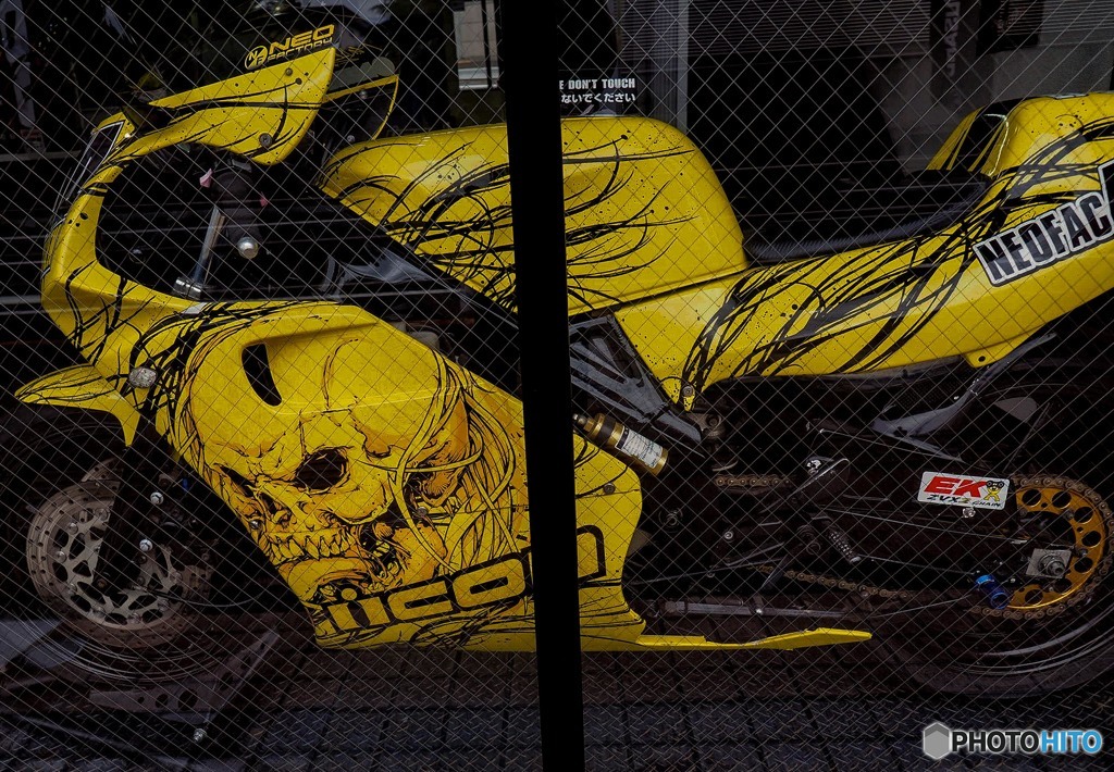 遺されたレンズ 5