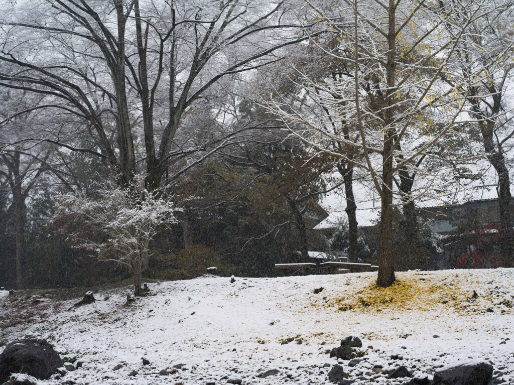 PENTAX 645D初撮り8