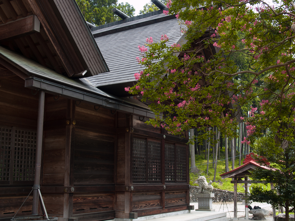 白鬚神社16