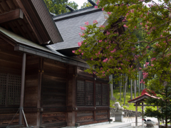 白鬚神社16