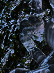 御岳山ロックガーデンの氷の世界11