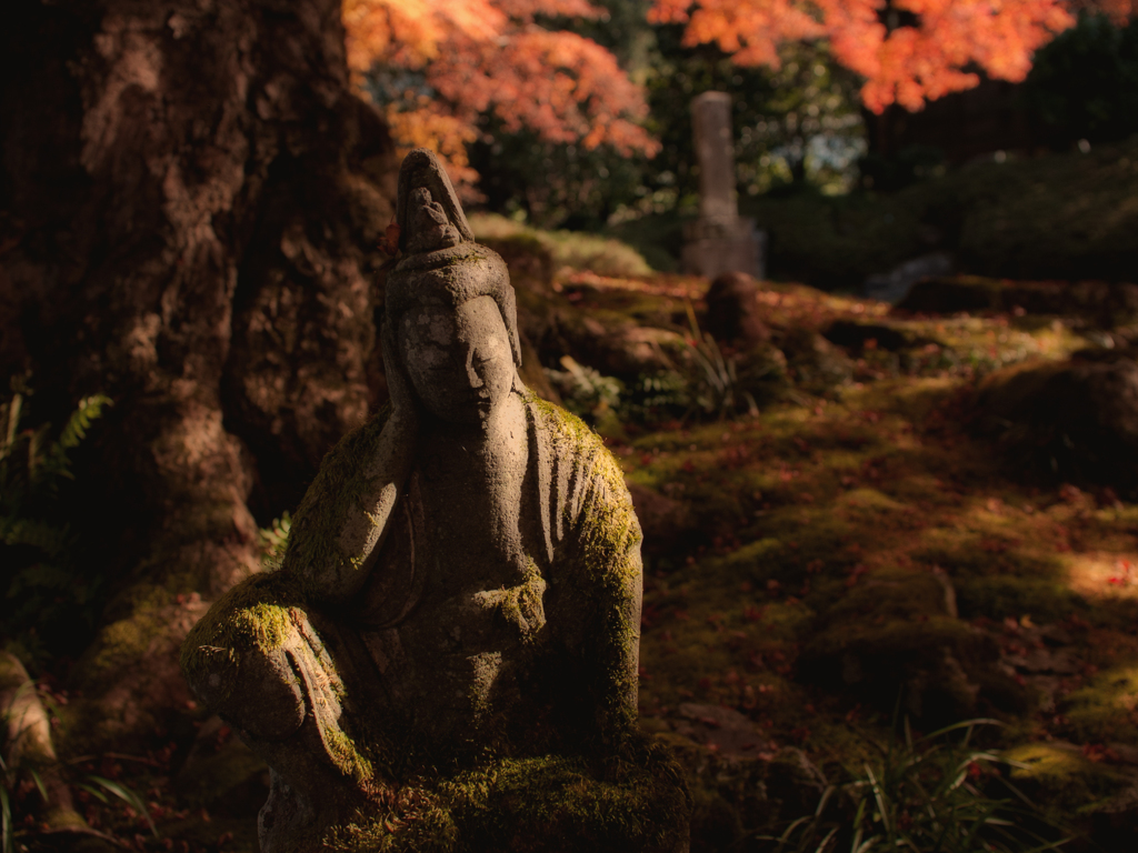 奥秩父の寺　西善寺02