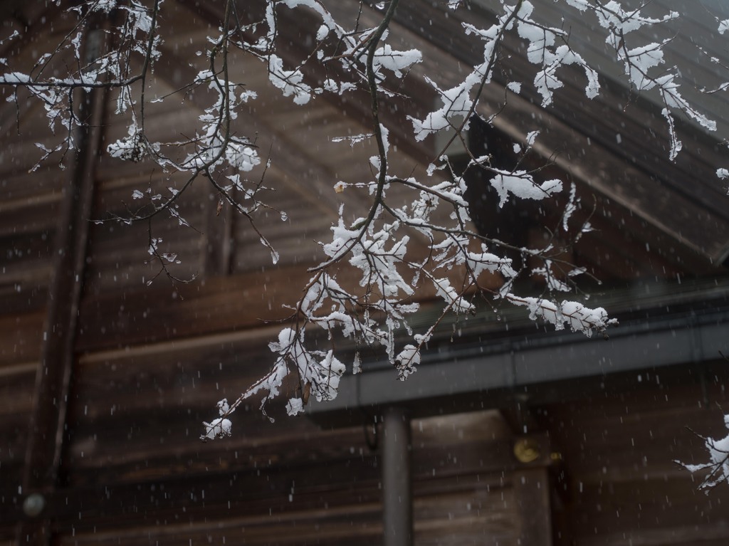 PENTAX 645D初撮り17