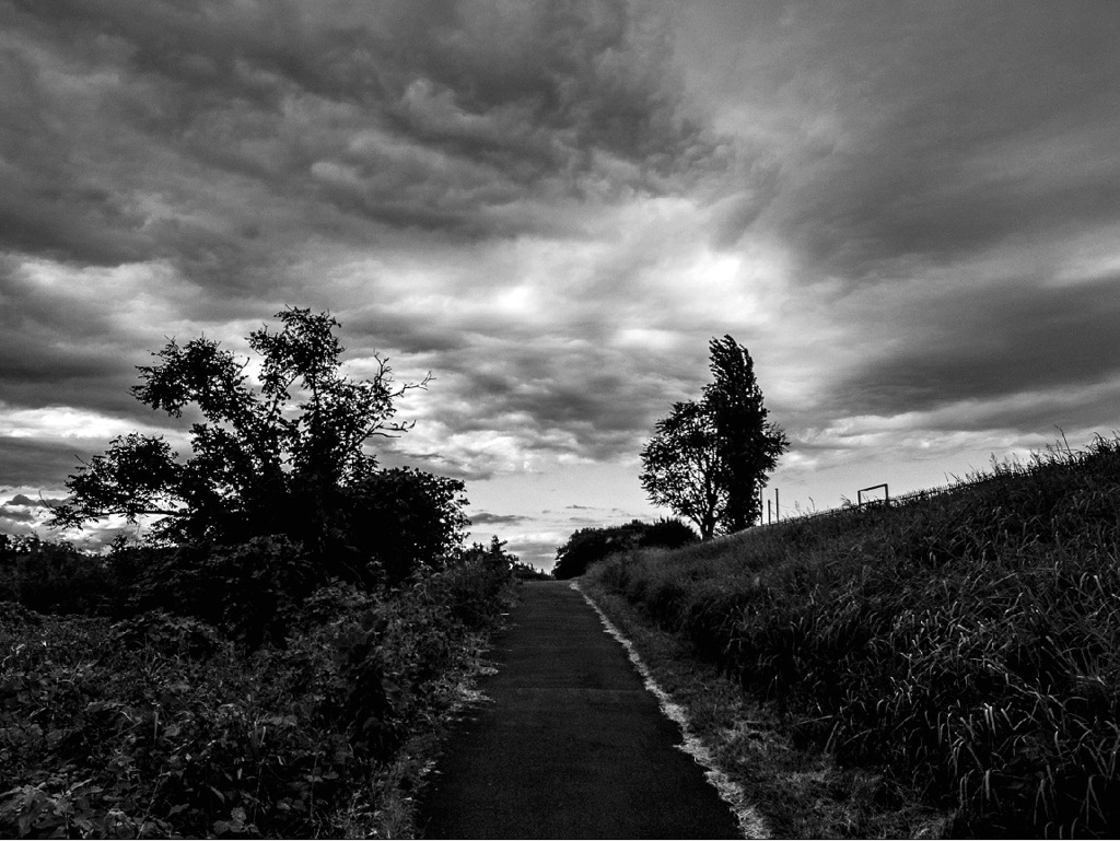 サヨナラGRIV　15