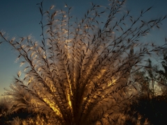 サヨナラGRIV　６