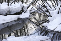 厳寒の上高地14