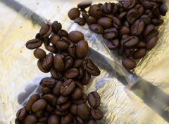 コーヒーブレイク1