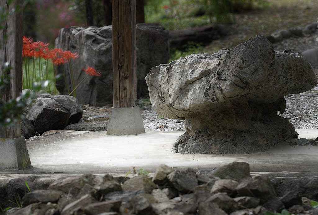 白鬚神社17